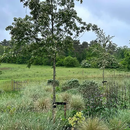 Design-led Nature Retreat, Near