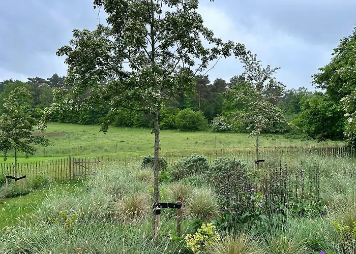 Design-led Nature Retreat, Near